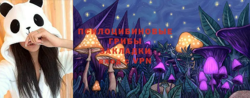 как найти наркотики  Азнакаево  Псилоцибиновые грибы Psilocybine cubensis 